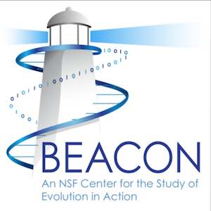 beacon