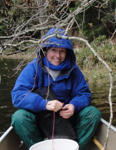 Scientist Alycia out in the field collecting male stickleback fish for her experiments
