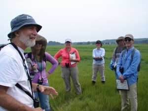 Robert Buchsbaum, from Mass Audubon, preparing his team for a morning of salt marsh bird surveys. Find out more about his research on the endangered Saltmarsh Sparrow in his Data Nugget, “Does Sea Level Rise Harm Saltmarsh Sparrows?”