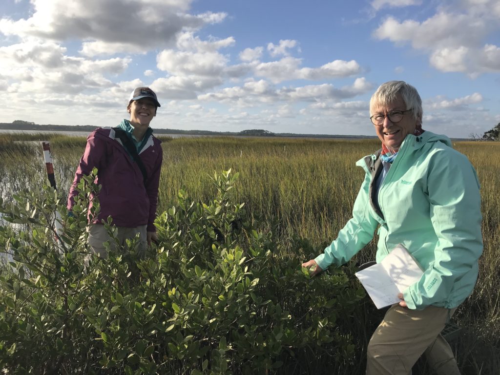 mangrove saltmarsh researchers