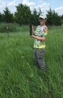 Christine collecting samples from the experimental plots to measure root growth.  