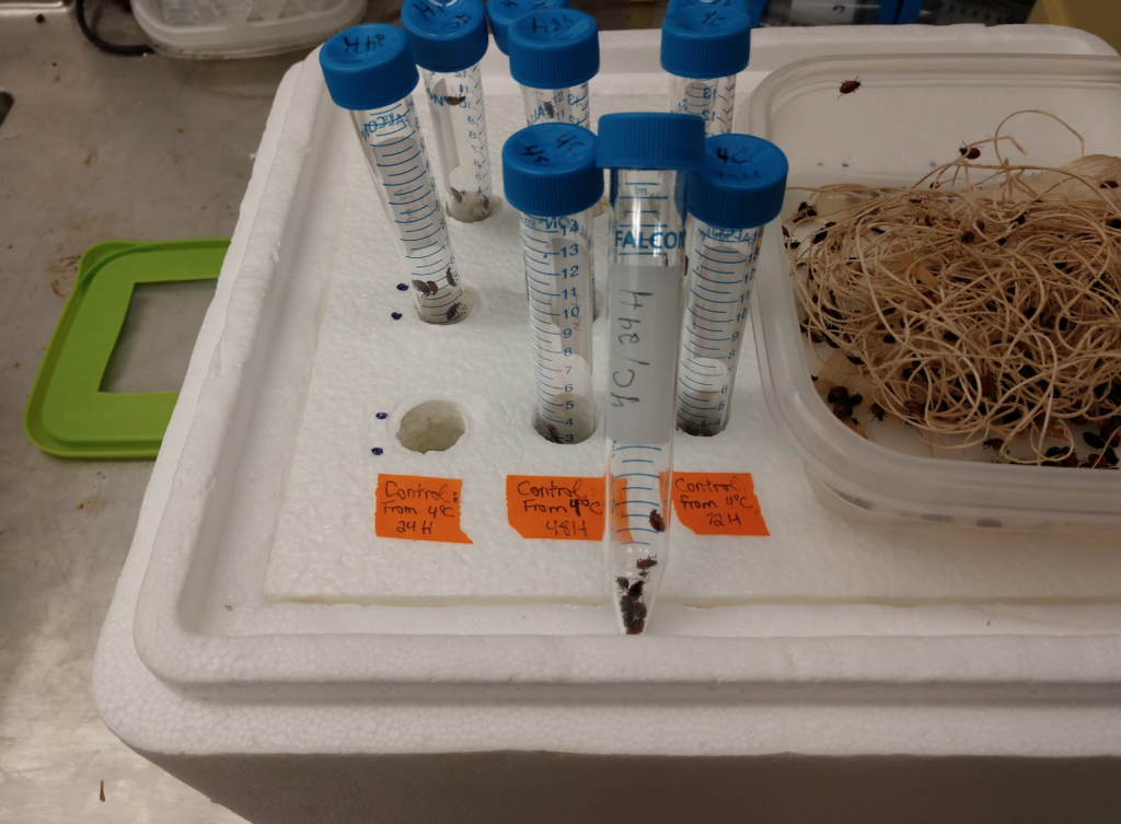 climate change Data Nuggets