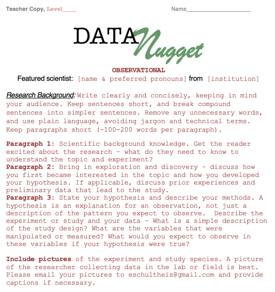 Making A Data Nugget - Data Nuggets