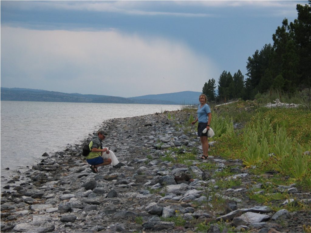 Scientists standing on a rocky lakeshore looking for snakes.